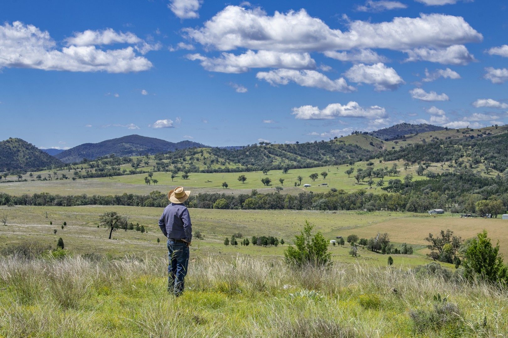 Farm in 864 Mole River Road, TENTERFIELD NSW, 2372