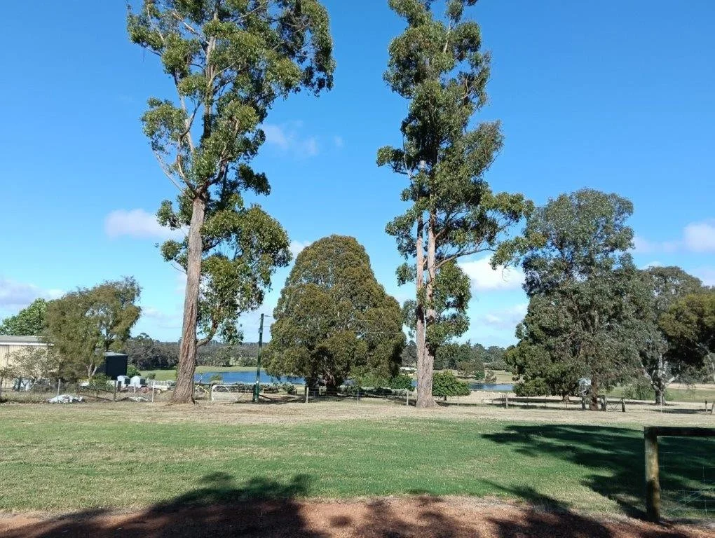 Image 9