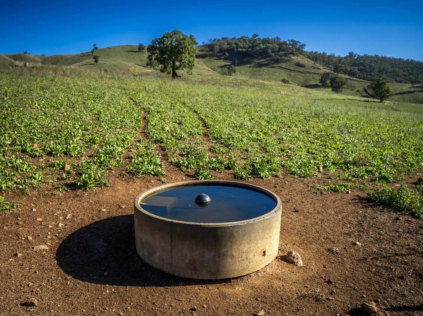 Additional image 17 of 'Coonara' Perrams Road, Ilford NSW 2850
