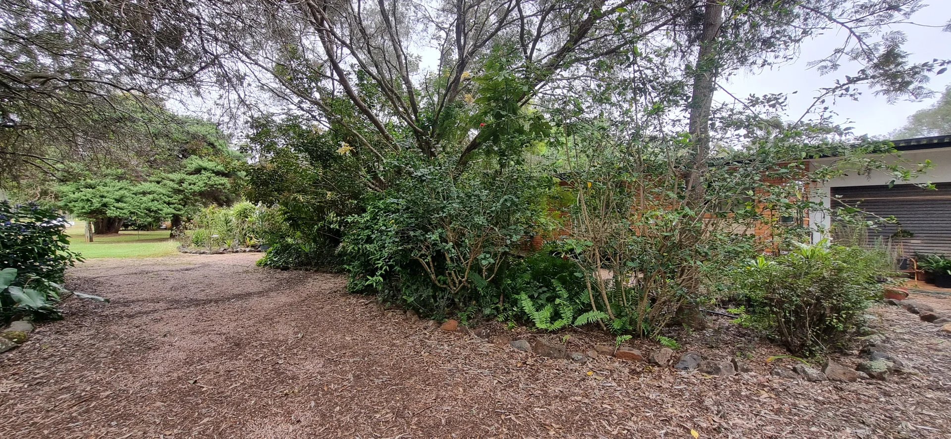 Image 14