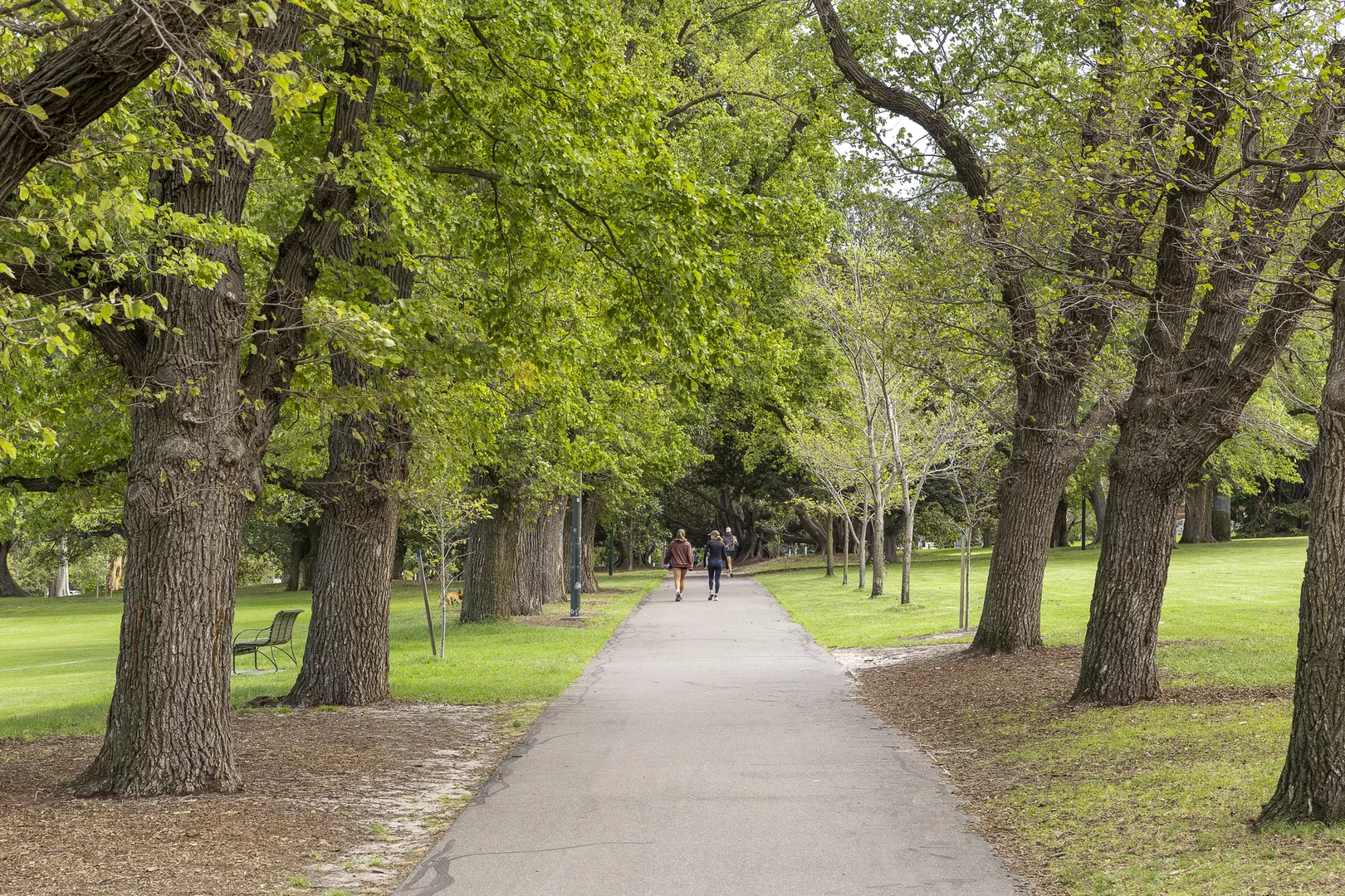 Additional image 4 of Units 1-7/36-38 Albion Street, South Yarra VIC 3141