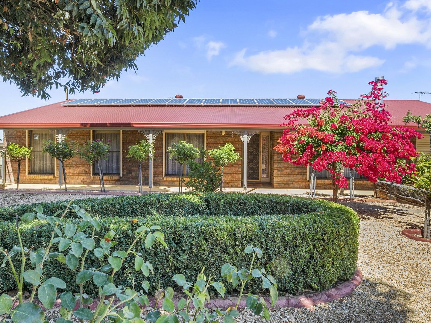 15 Moore Street, Murray Bridge East SA 5253, Image 0