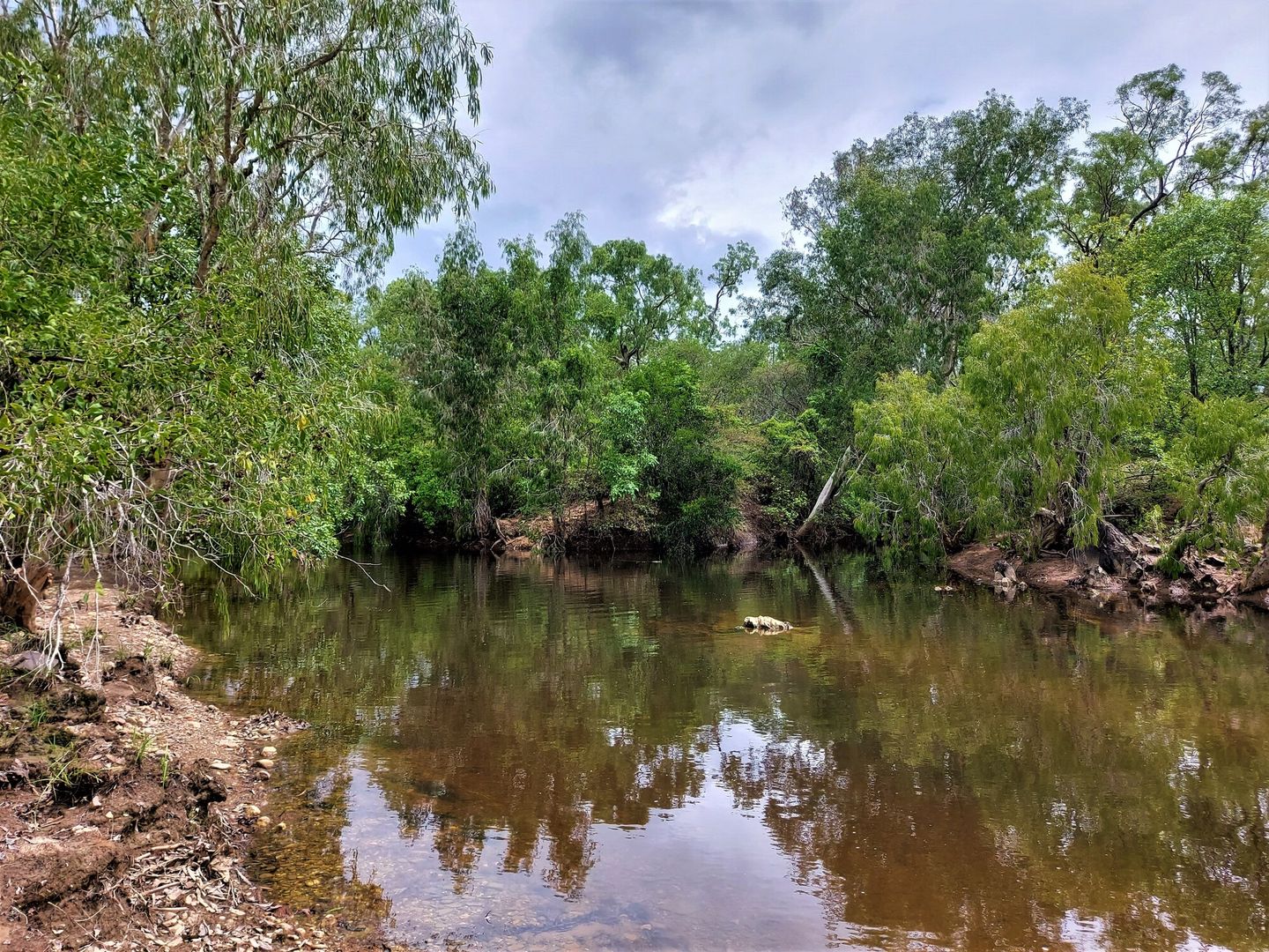 16 Peninsula Development Road, Lakeland QLD 4871, Image 2