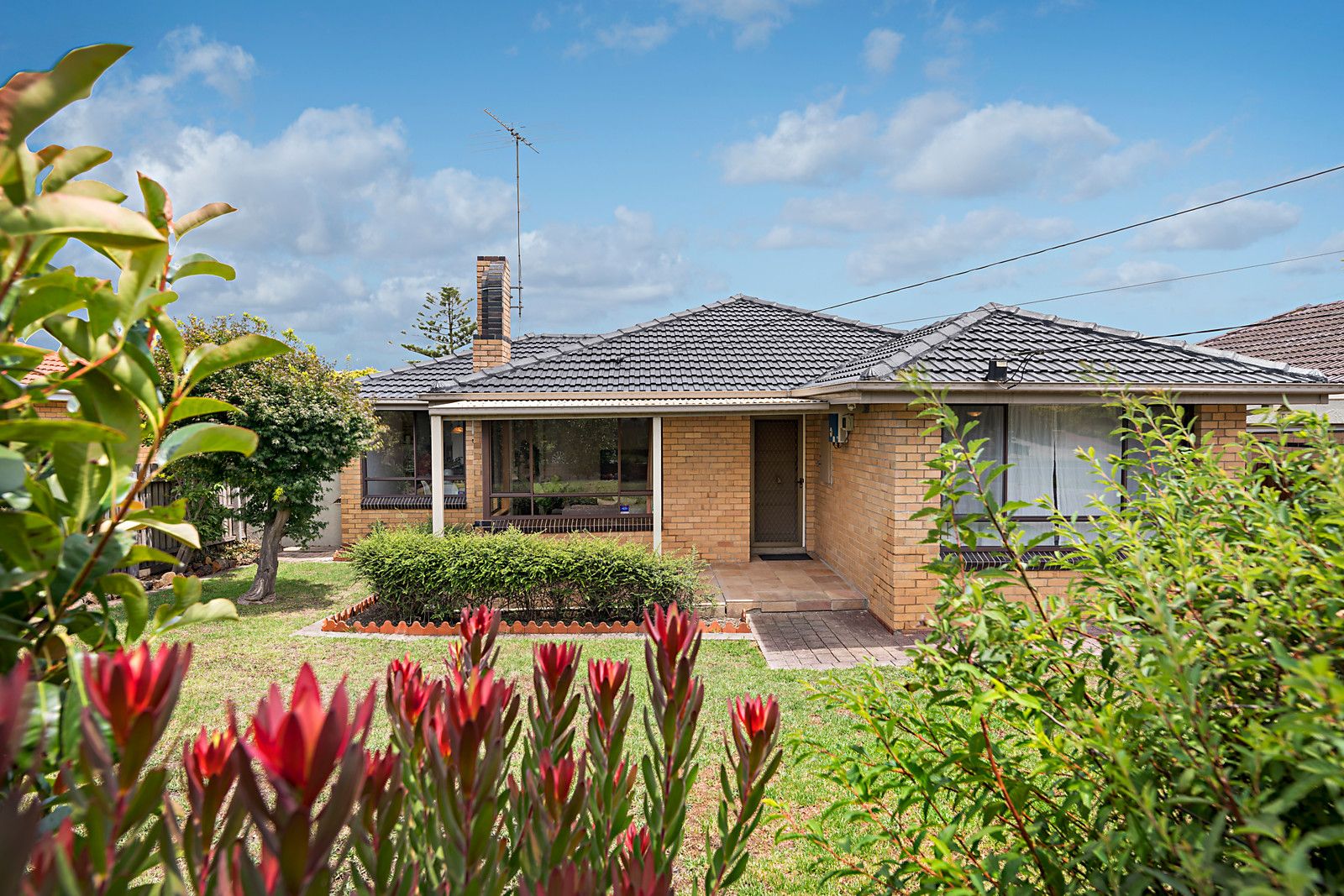 7 Moonee Boulevard, Glenroy VIC 3046, Image 0