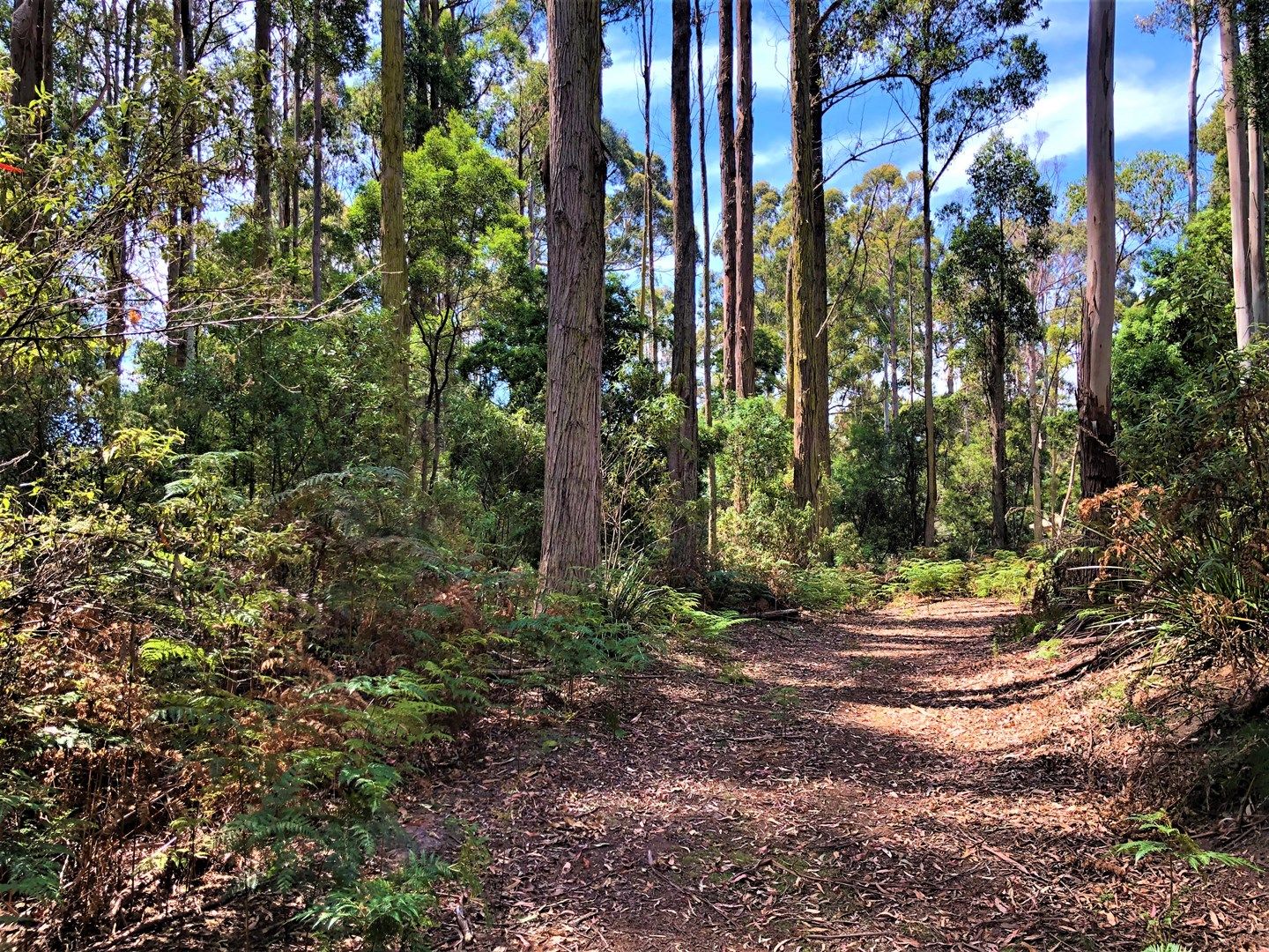 Lot 2 Back Cam Road, Somerset TAS 7322, Image 0