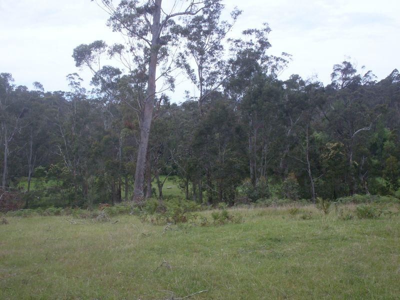 244 Hawdons Road, MORUYA NSW 2537, Image 1