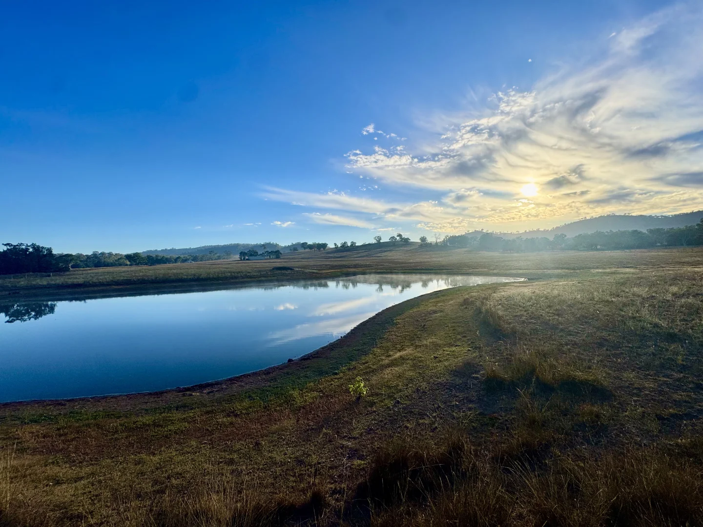 Additional image 12 of "Brentwood Park" 80 Sandy Creek Road, Blandford NSW 2338