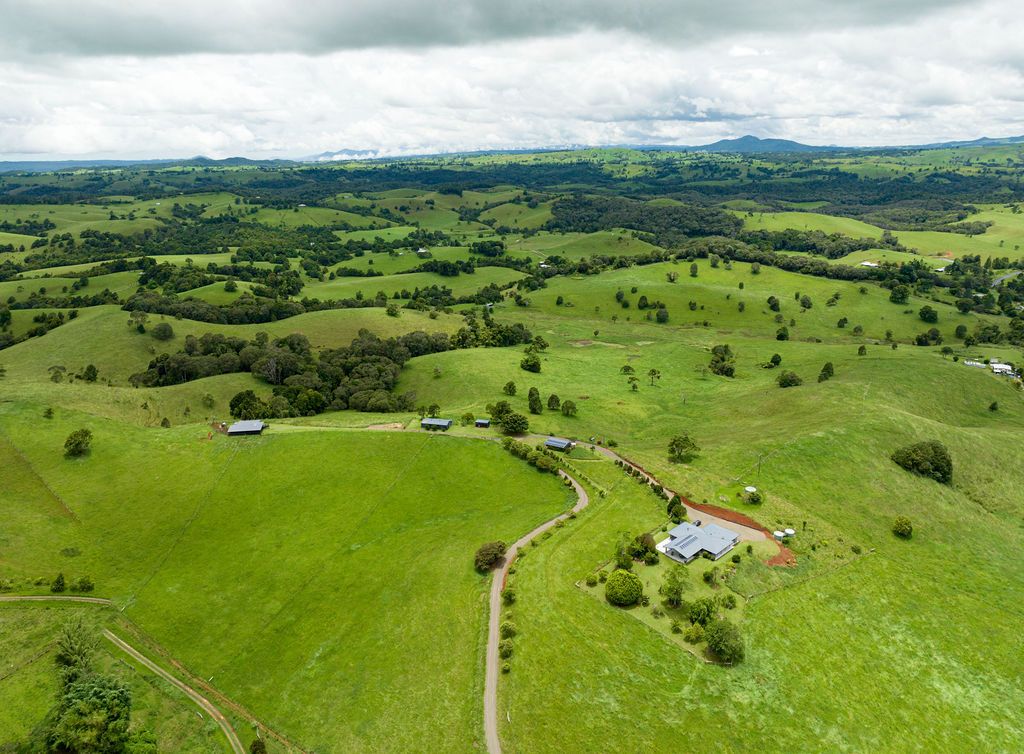 Tarzali QLD 4885 House for Sale Domain