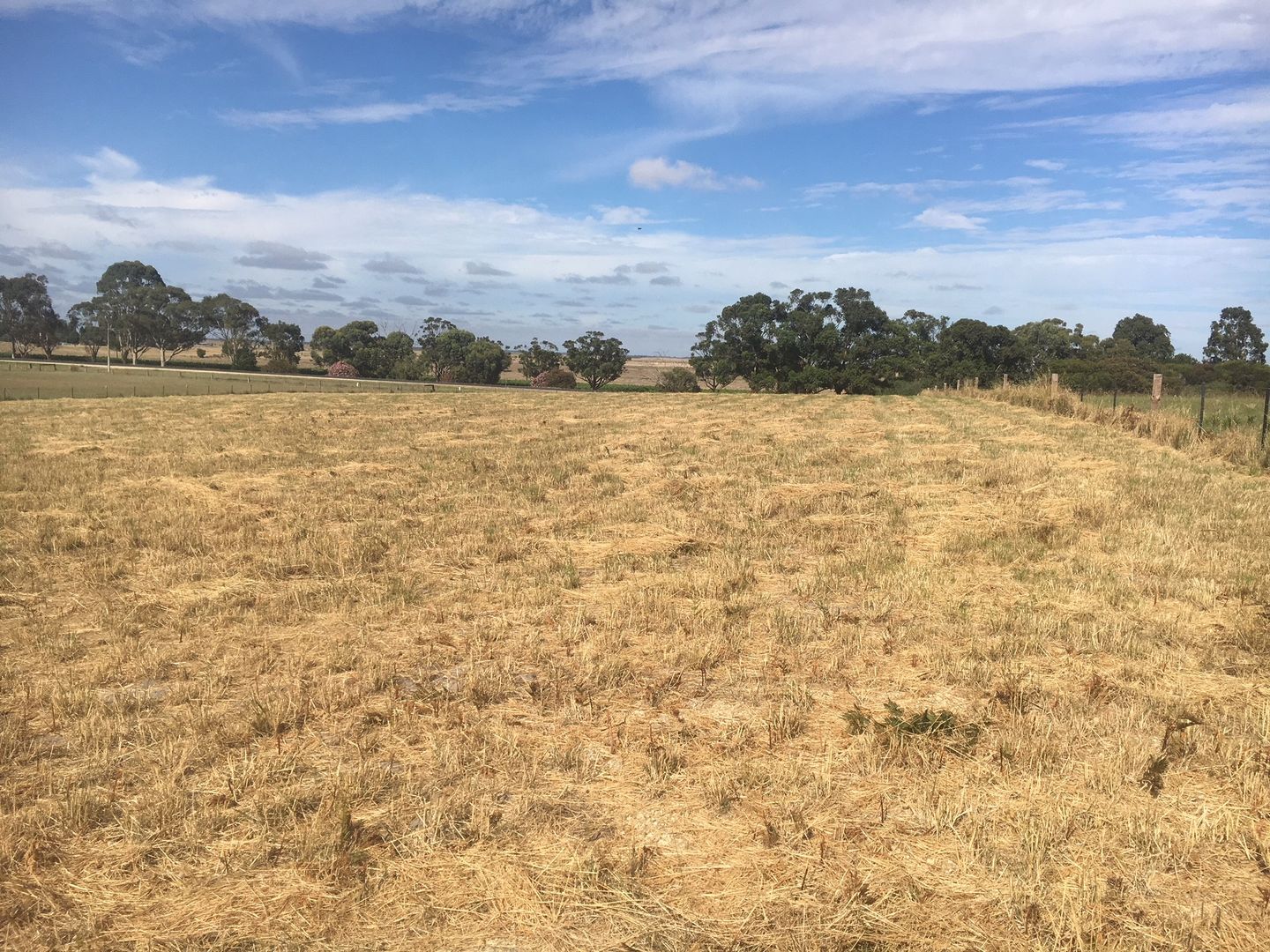 LOT 14 ROTARY AVENUE, Naracoorte SA 5271, Image 1