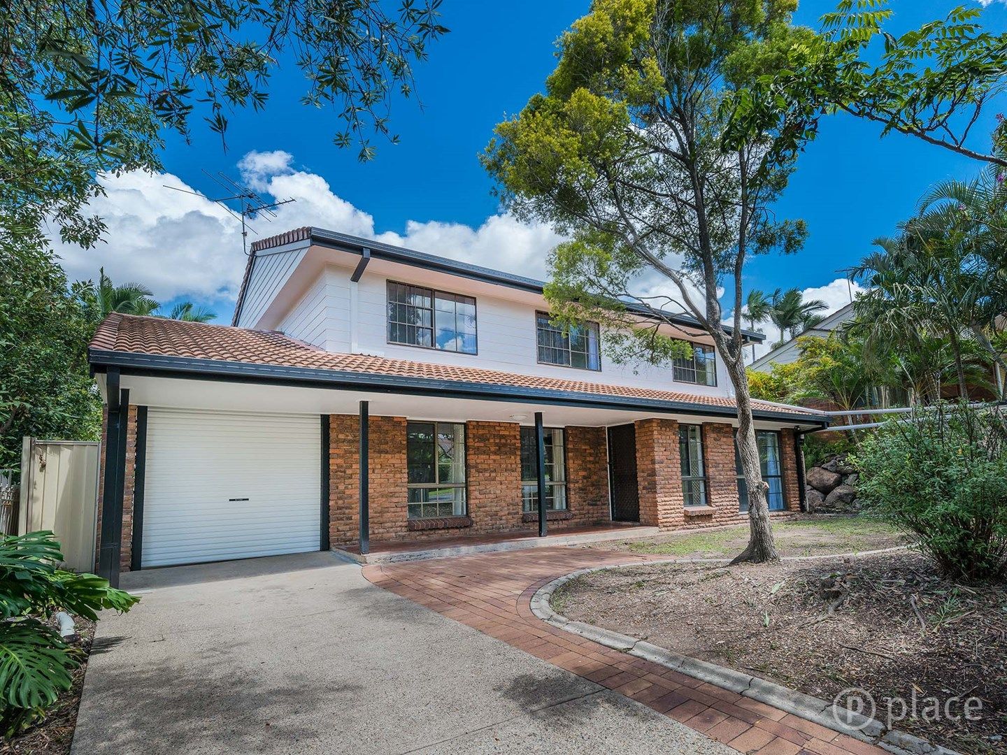 19 Booral Street, Sunnybank Hills QLD 4109, Image 1