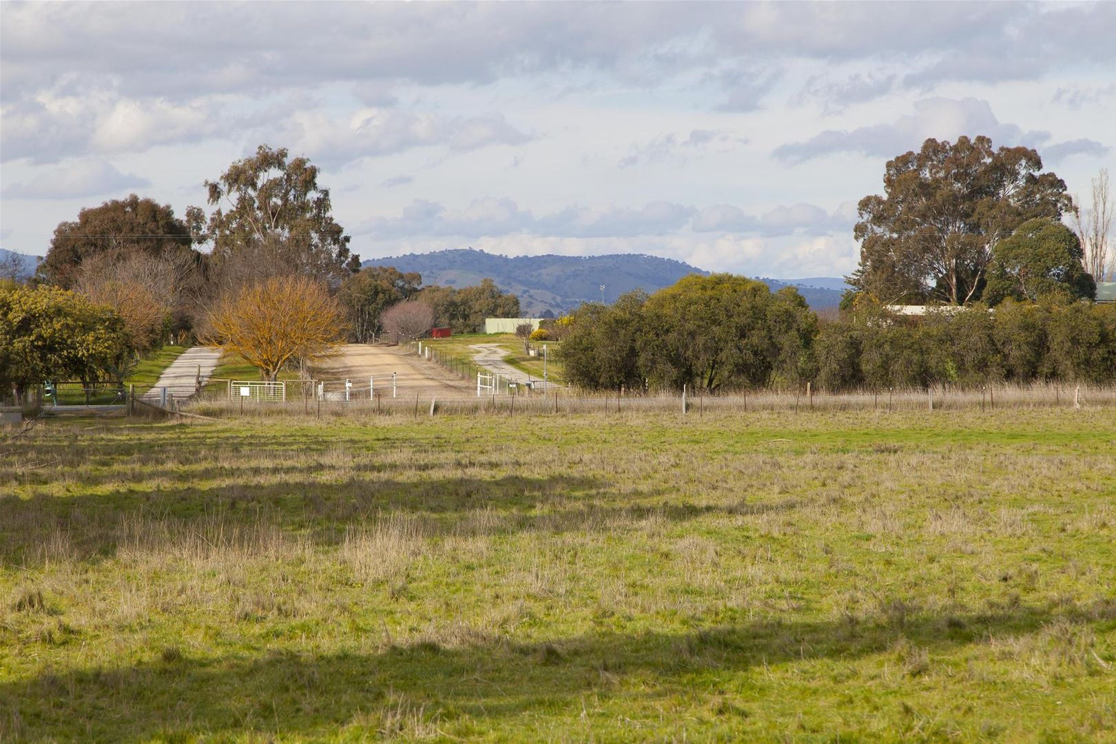 1075 Table Top Road, Table Top NSW 2640, Image 2