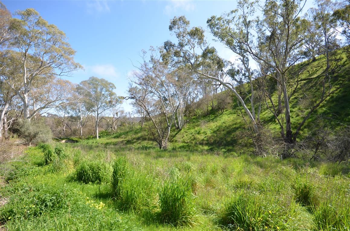 Lot 4 Campbell Road, Penwortham SA 5453, Image 1