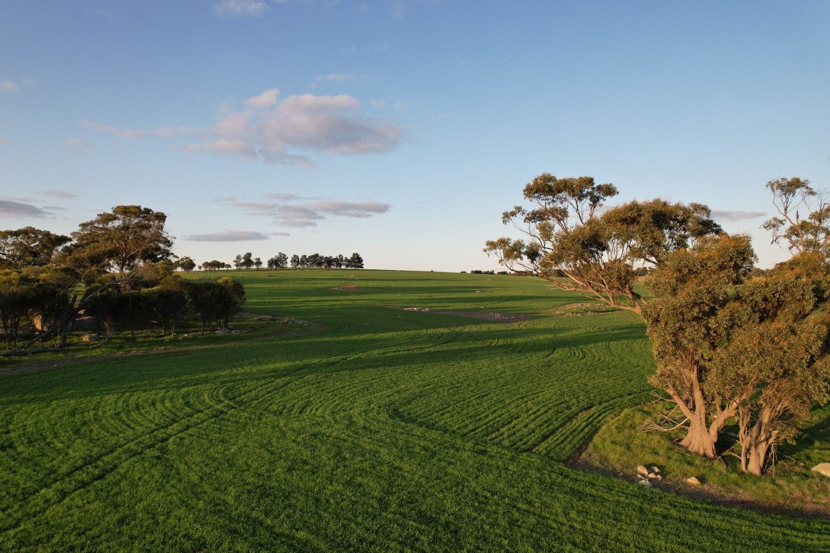 59 Burt Road, Wagin WA 6315 House for Sale 430,000 Domain