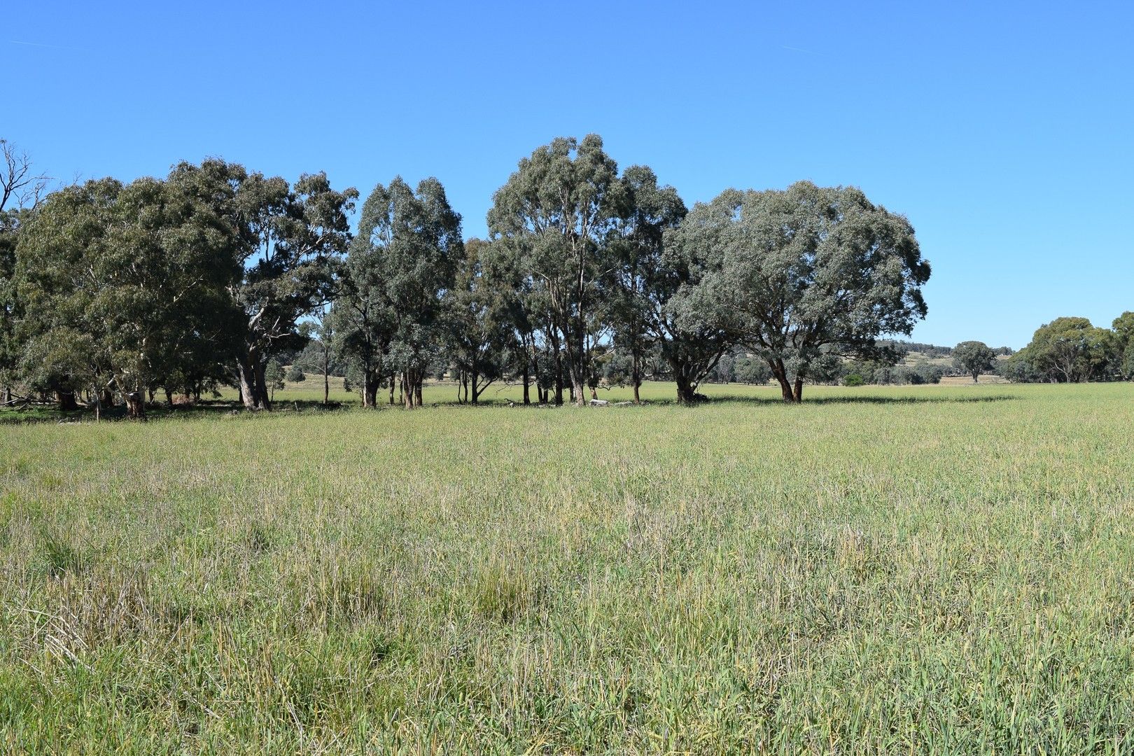 Little Plains Road, Blakney Creek NSW 2581, Image 0