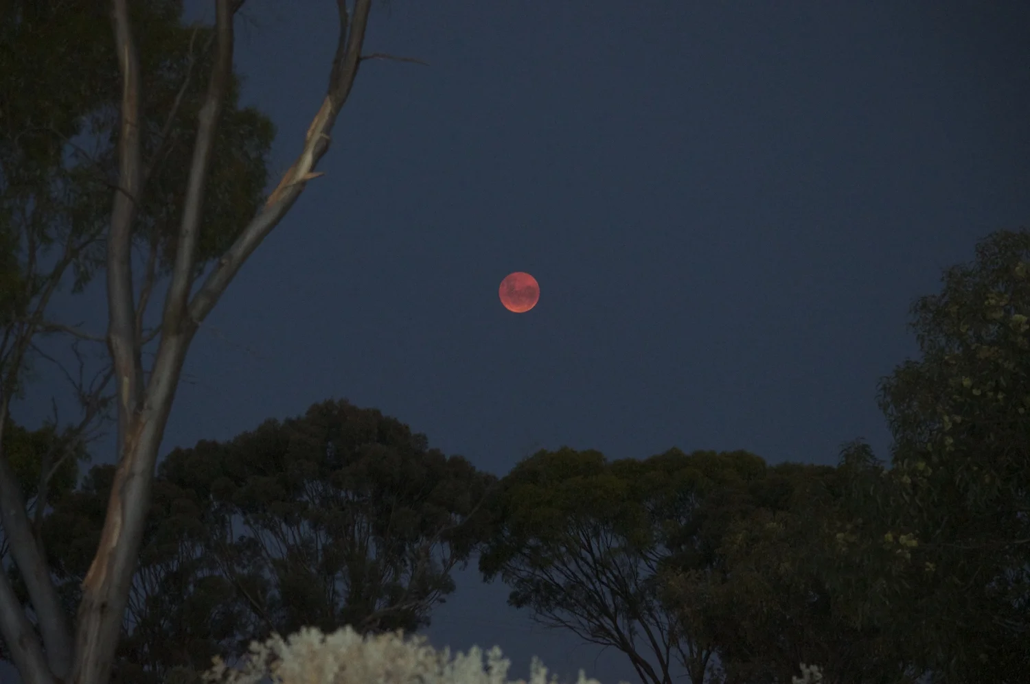 Additional image 24 of 1038 Monarto Road, Monarto SA 5254