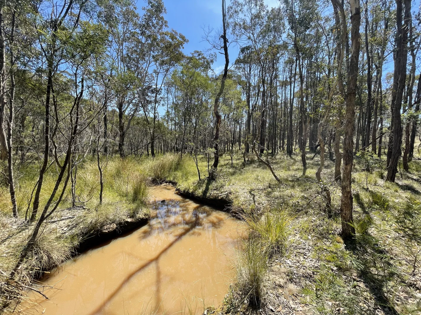 Image 14