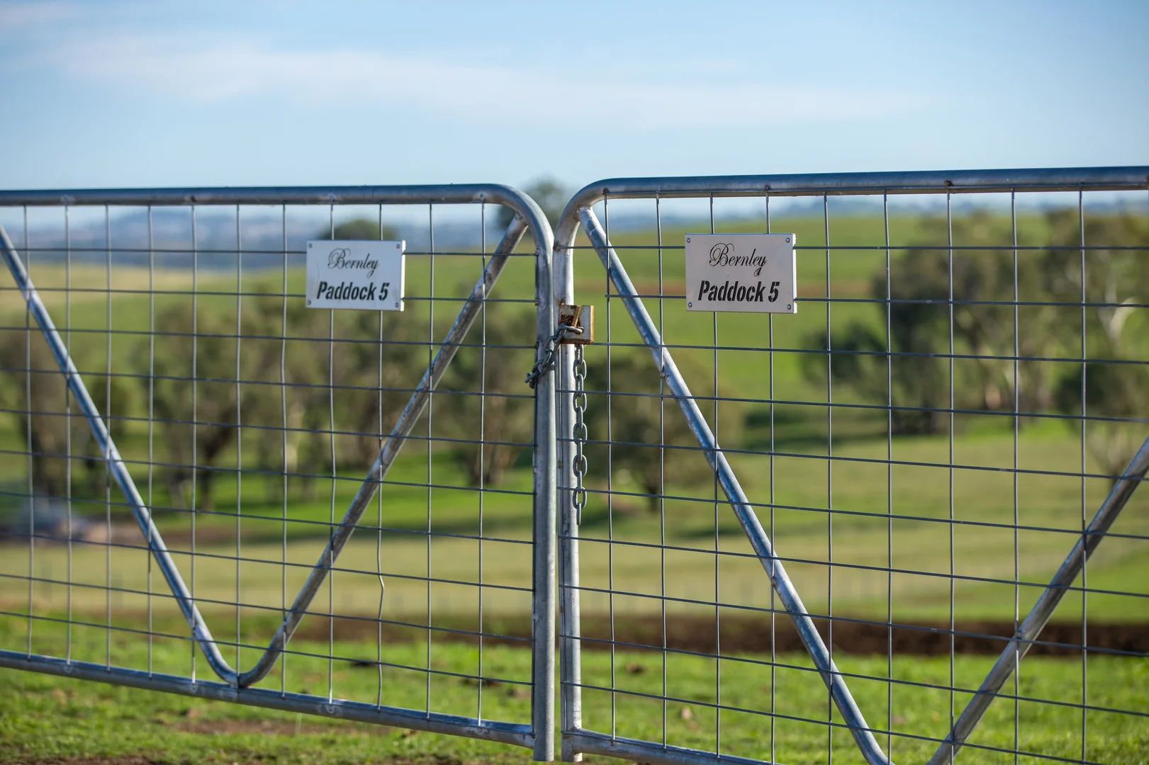Additional image 33 of 1948 Coach Road, Morven NSW 2660