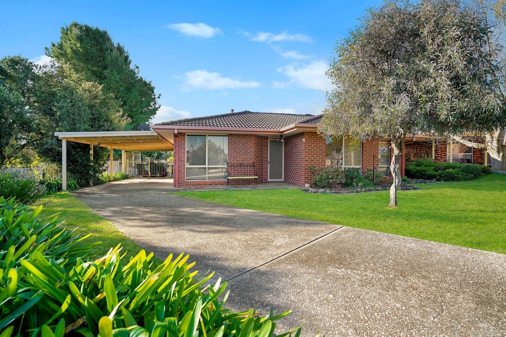 3 bedrooms House in 5 Sundew Court THURGOONA NSW, 2640