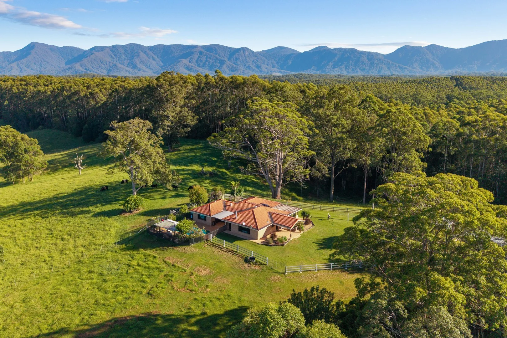423 Hydes Creek Road, Bellingen NSW 2454