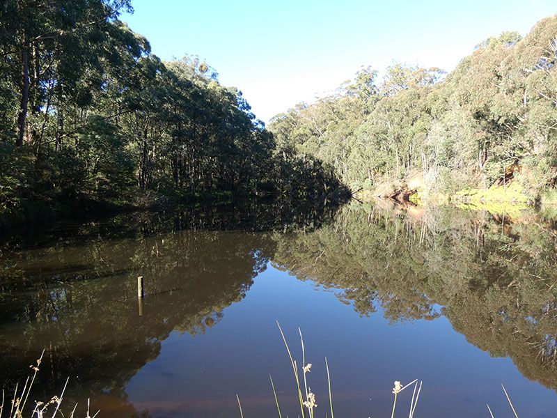 Hoddles Creek VIC 3139 House for Sale 1,750,000 Domain