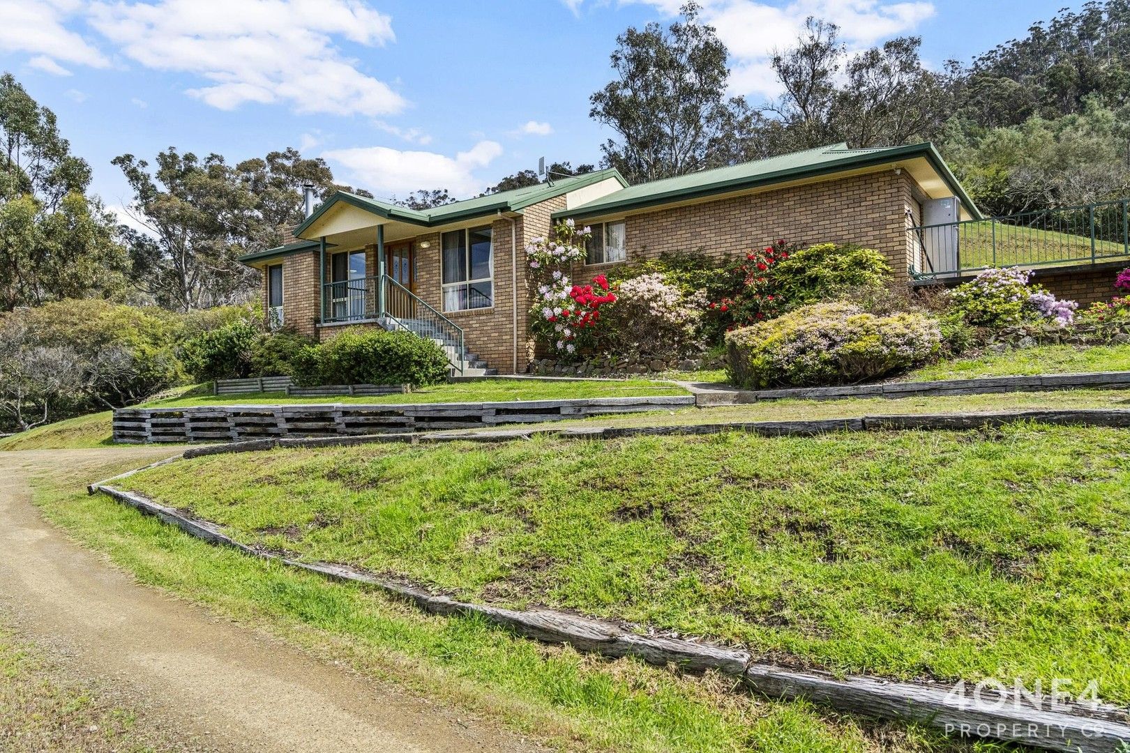 161 Daniels Road, Magra TAS 7140 Domain