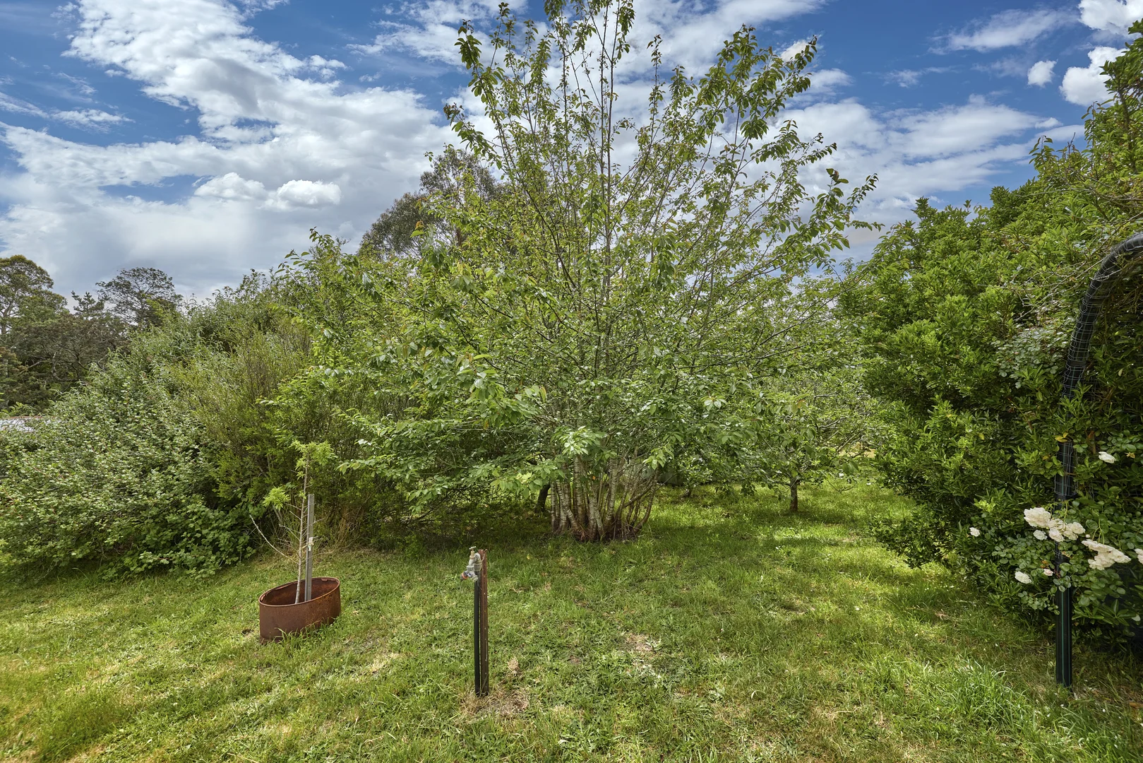 Image 12