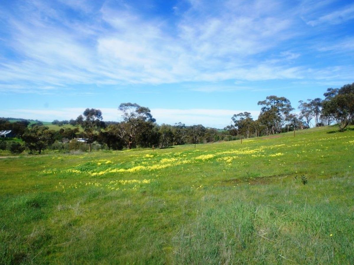 Lot 411 Mattschoss Road, Daveyston SA 5355, Image 1