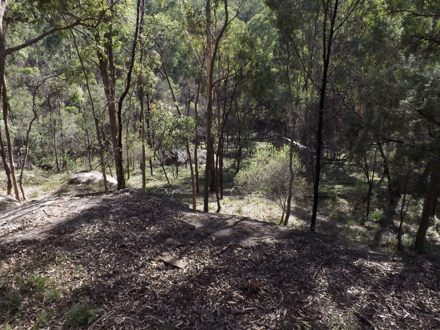 5727 Putty Road, Howes Valley NSW 2330, Image 2