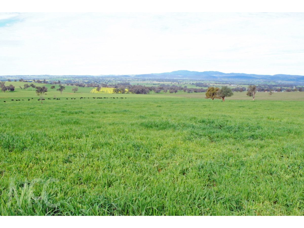 'Prospect' 165 Scenic Drive, Cudal NSW 2864, Image 1