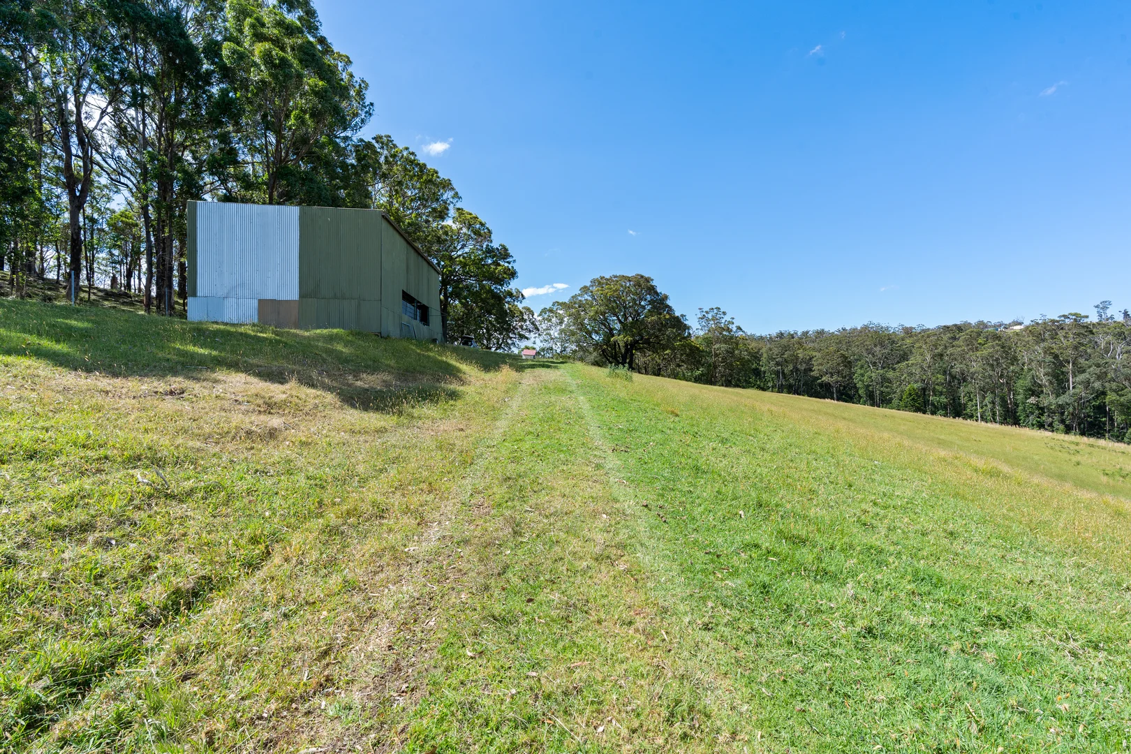 Image 19