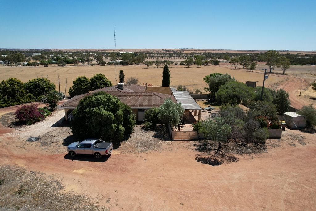 33 Jones Street, Dowerin WA 6461 House for Sale 750,000 Domain