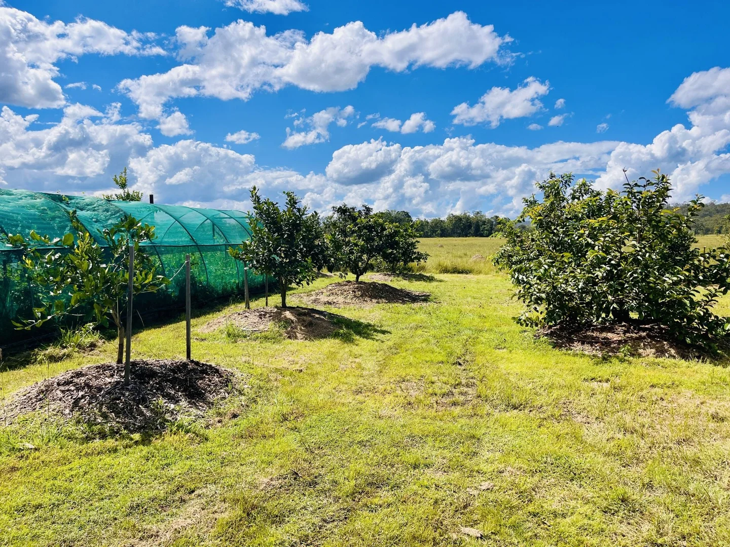 Additional image 31 of 84 Gordon Earl Drive, Millstream QLD 4888