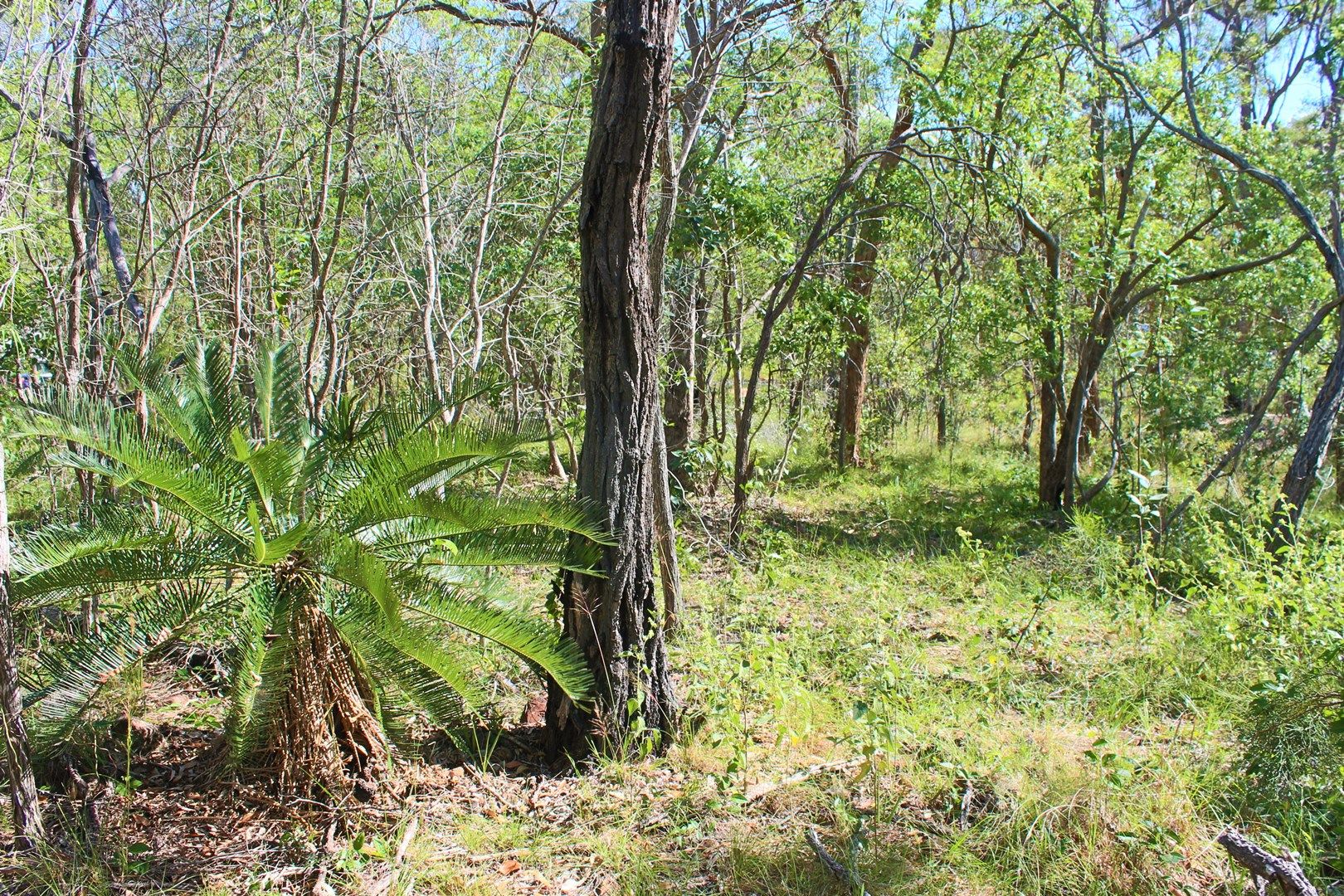 Bills Road, Agnes Water QLD 4677, Image 0