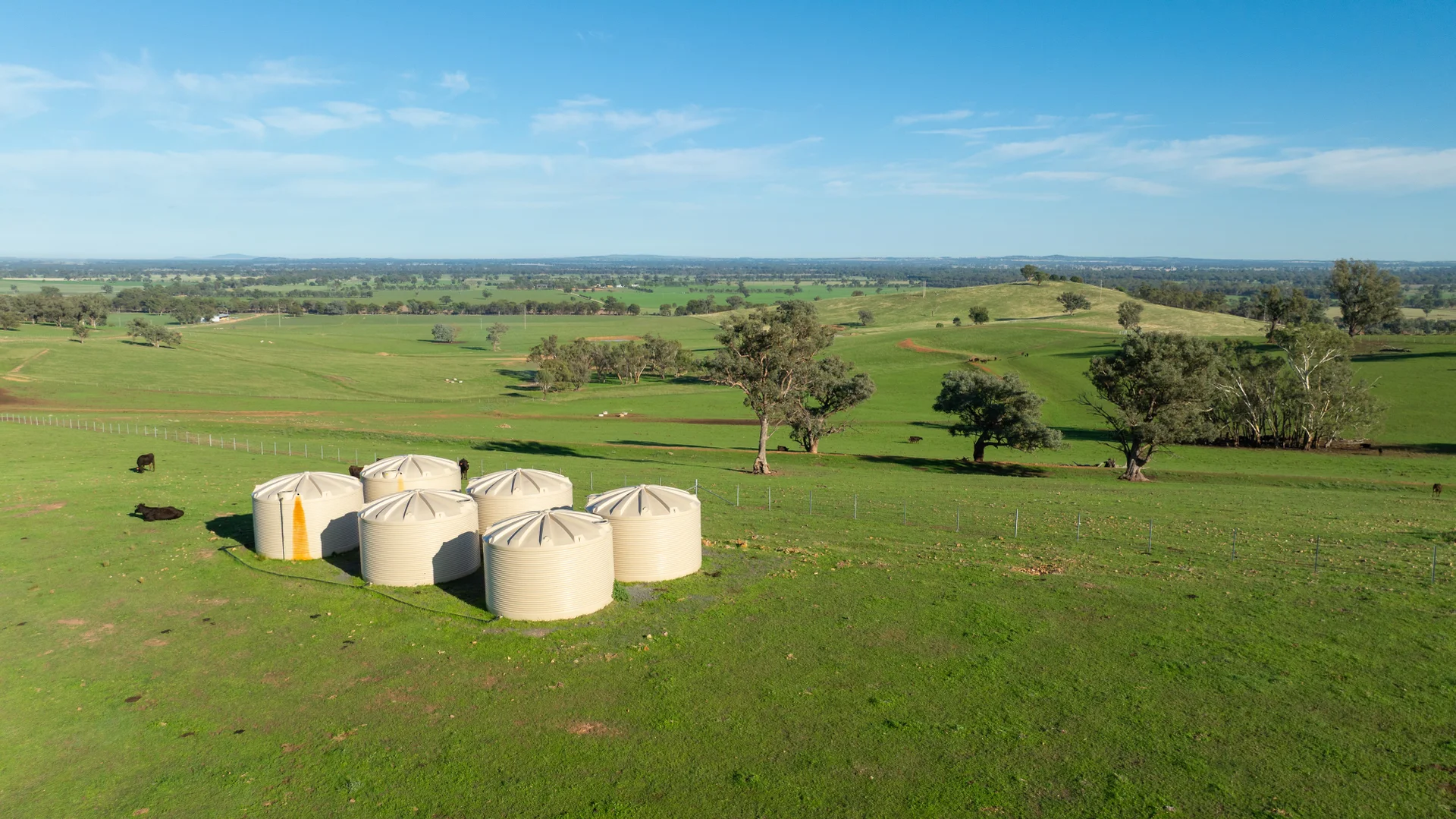 Additional image 31 of 1948 Coach Road, Morven NSW 2660