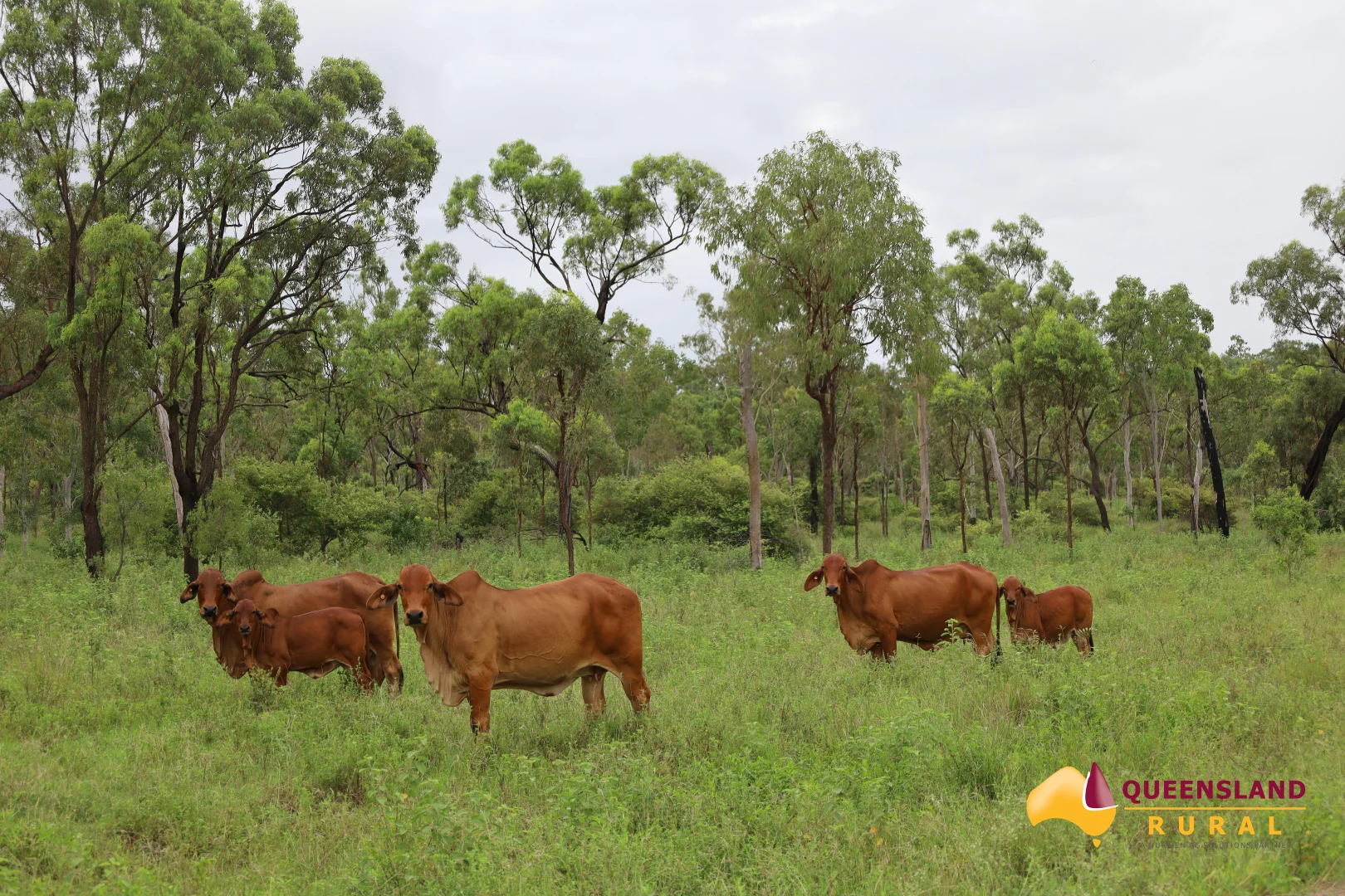 Additional image 16 of Ayr QLD 4807