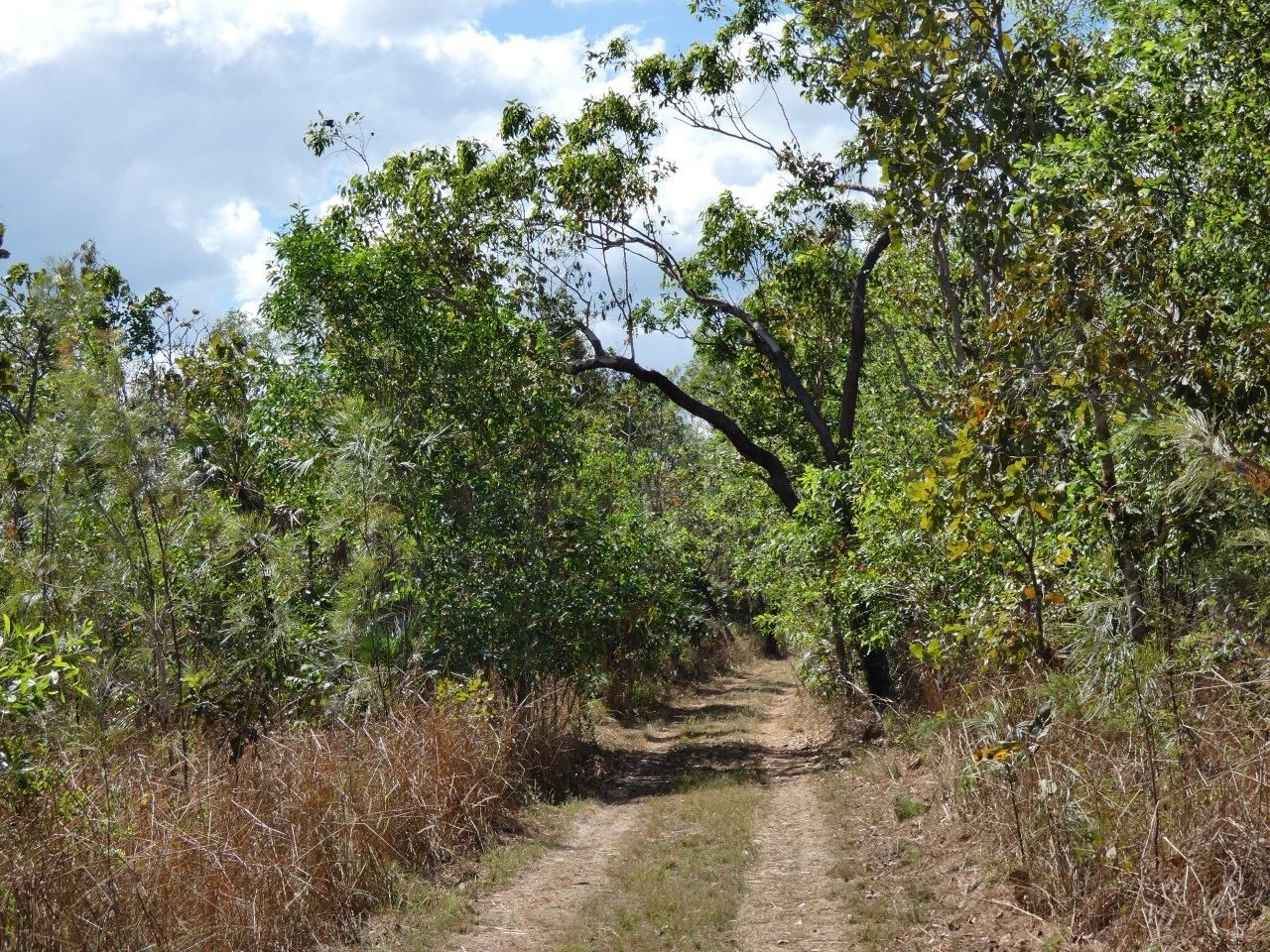 685 Spencer Road, Darwin River NT 0841, Image 1