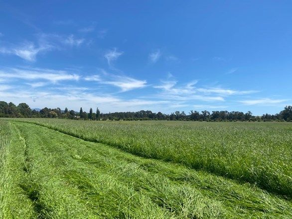 Lot 3201 East St & Tarraganda Lane, Bega NSW 2550, Image 1