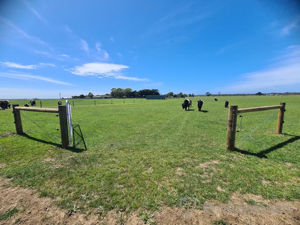 Image 15