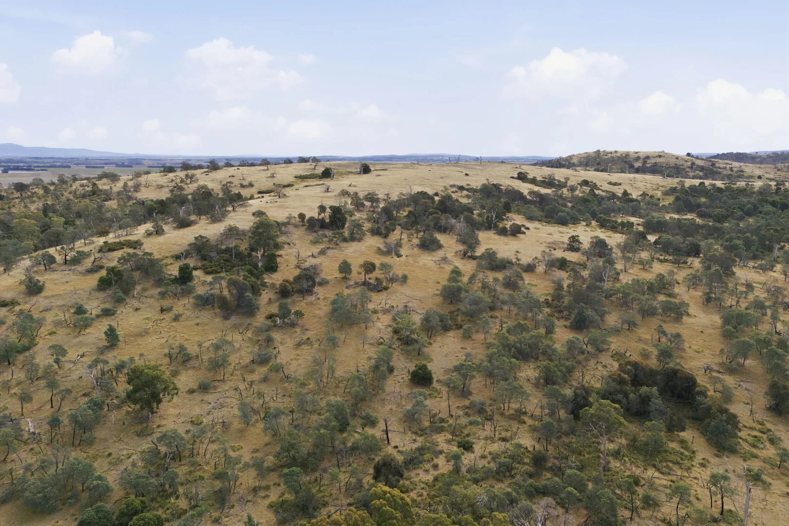 Additional image 24 of 411 Bryants Lane, Deddington TAS 7212