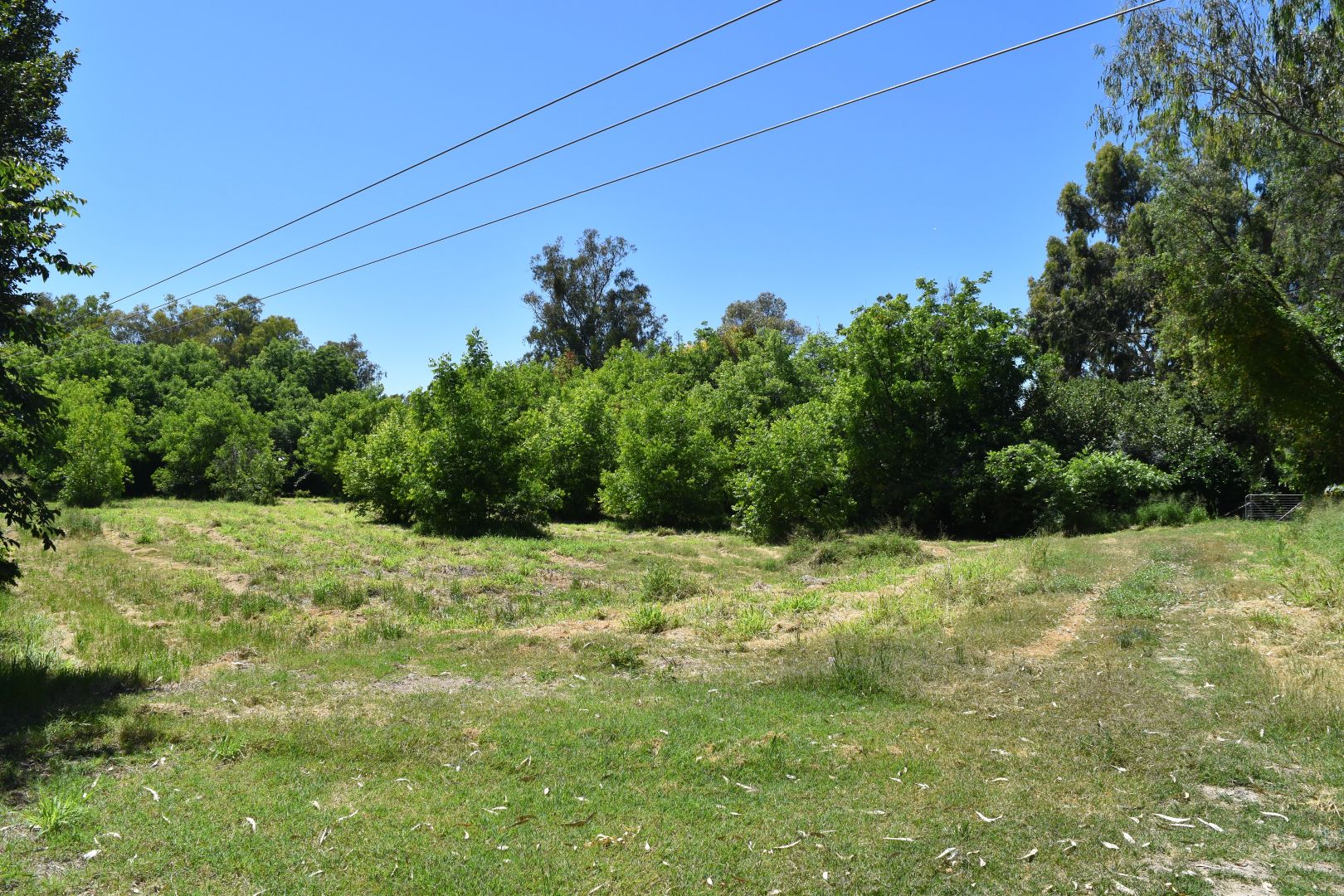 21 Riverview Terrace, Goondiwindi QLD 4390, Image 2