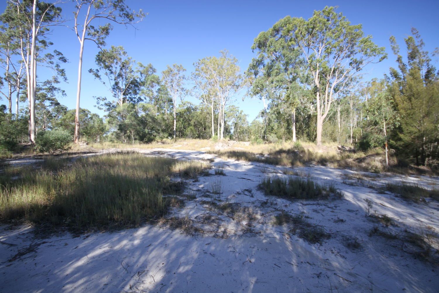 Lot 2 Jones Road, Manyung QLD 4605, Image 1