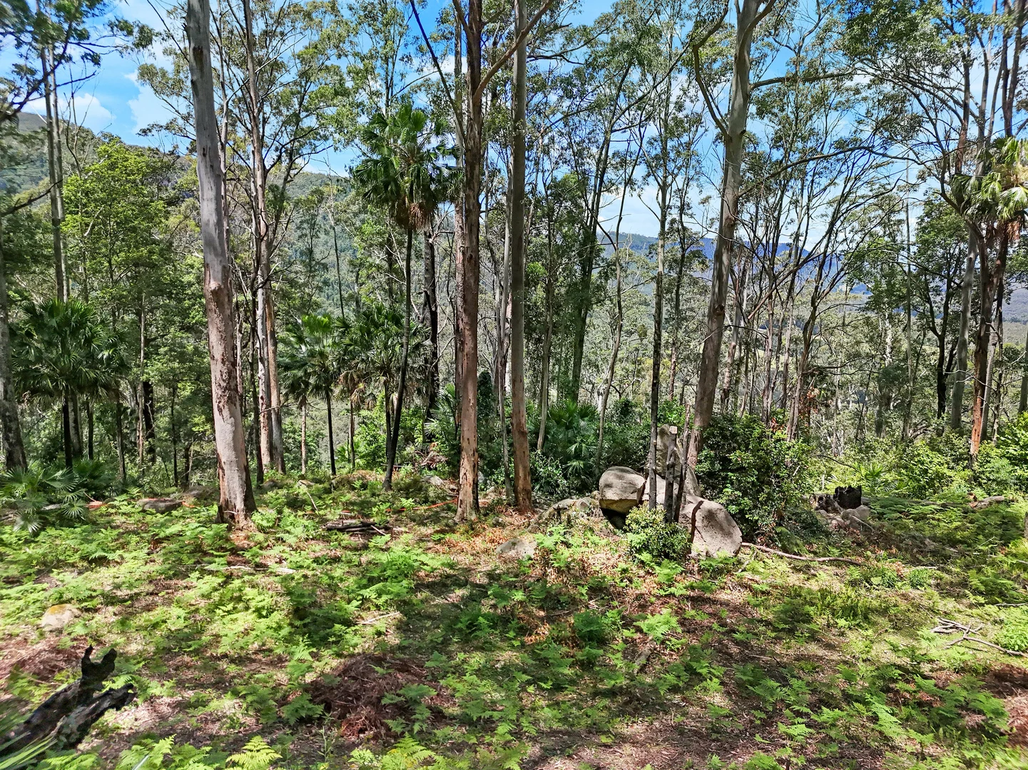 Image 8