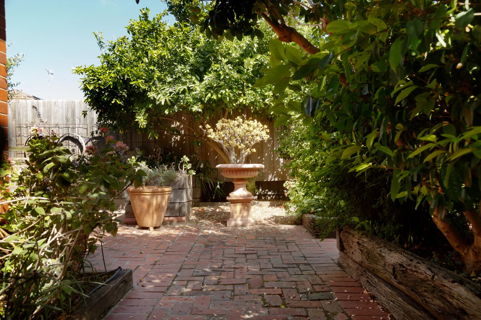 Image 19