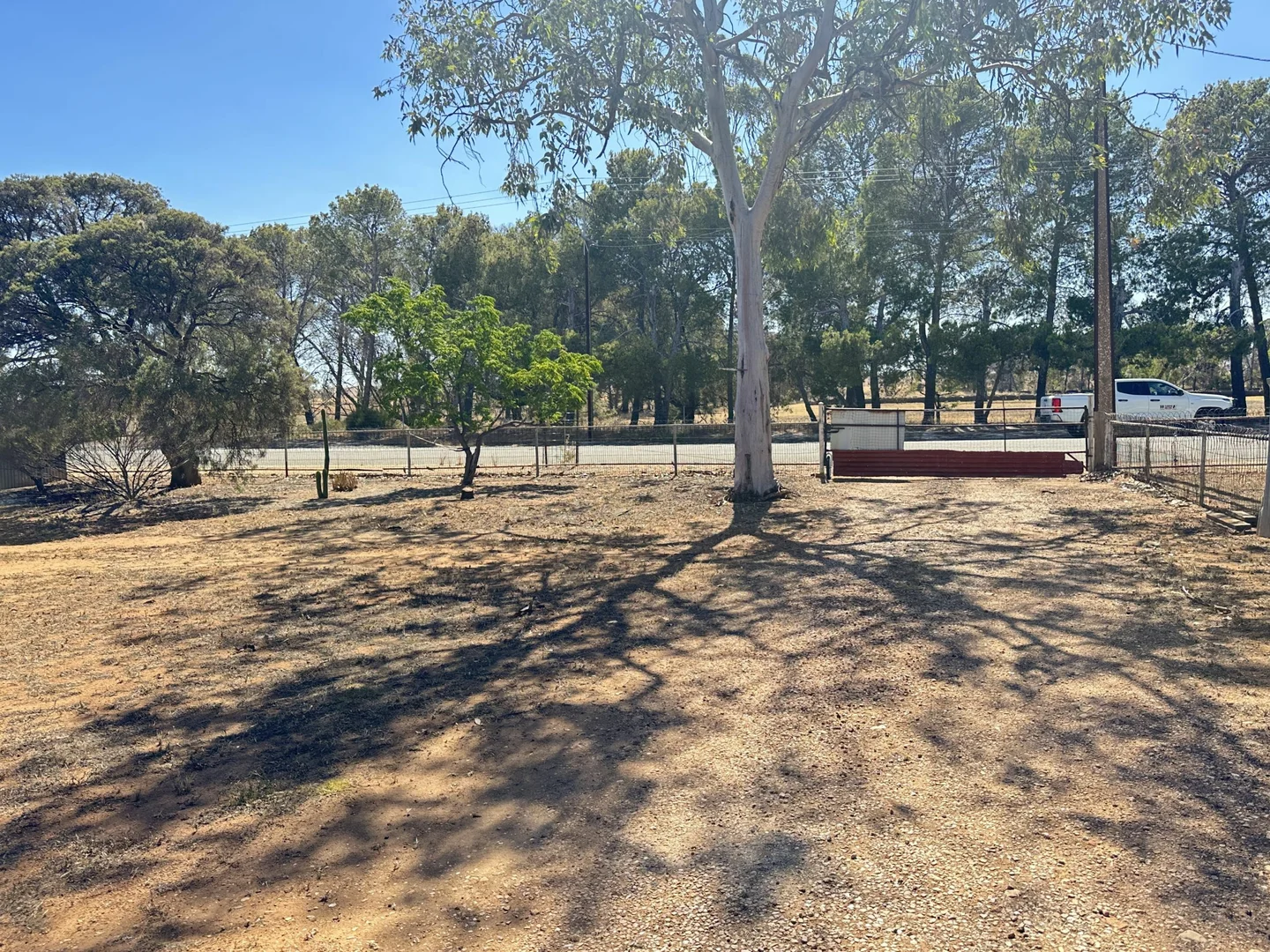 Image 12