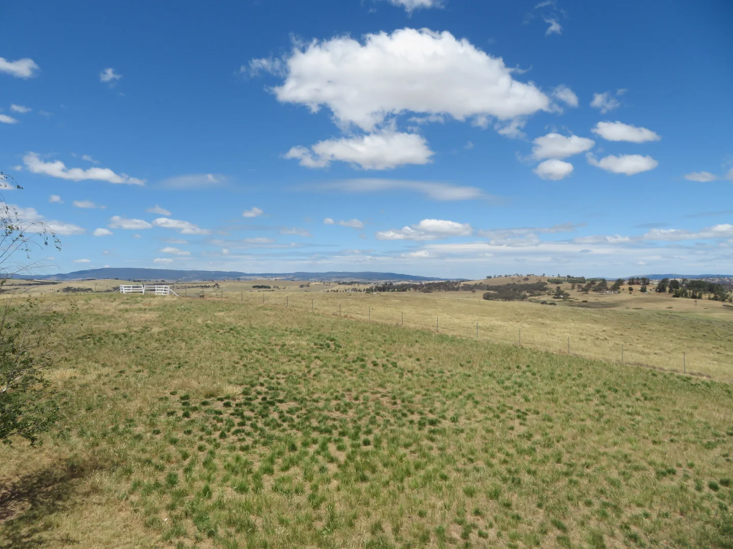 Additional image 12 of 2/491 Gormans Hill Road, Gormans Hill NSW 2795