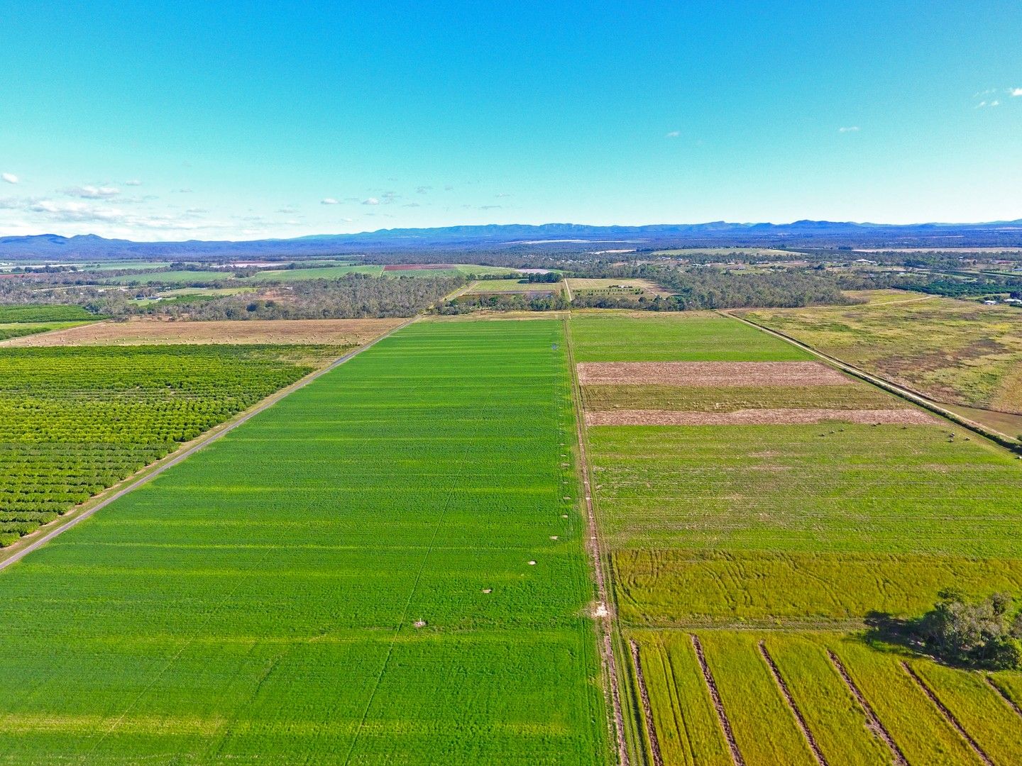 3 Malone Road, Mareeba QLD 4880 House for Sale Domain