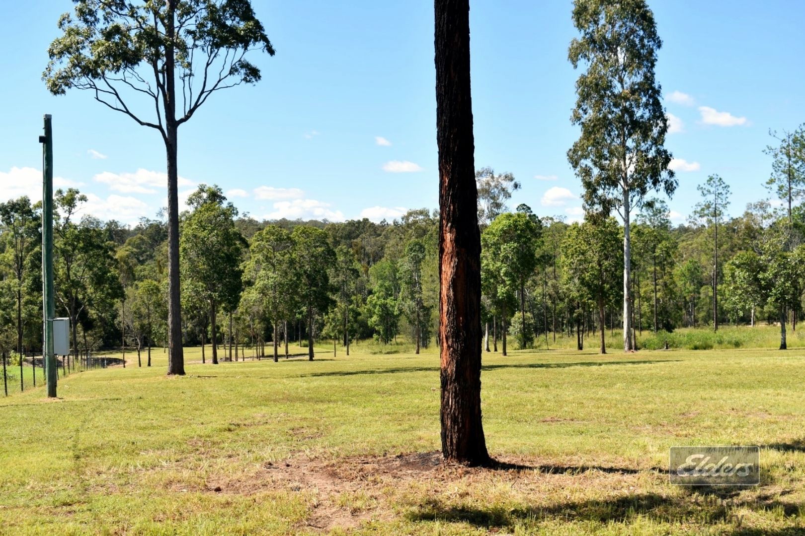 Lot 207 Arborfive Road, Glenwood QLD 4570, Image 1