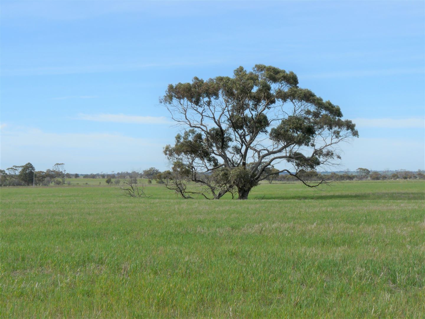 Katanning WA 6317, Image 0