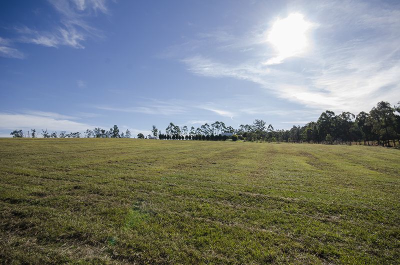 741-749 Parker Road, WELLS CROSSING NSW 2460, Image 2