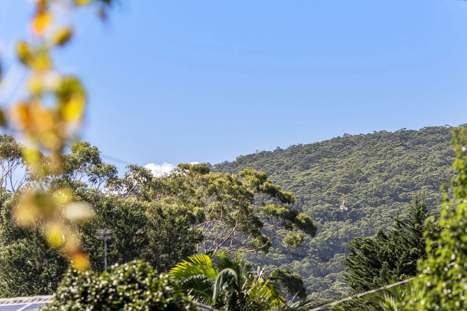 Additional image 14 of 85 Forest Road, Ferntree Gully VIC 3156